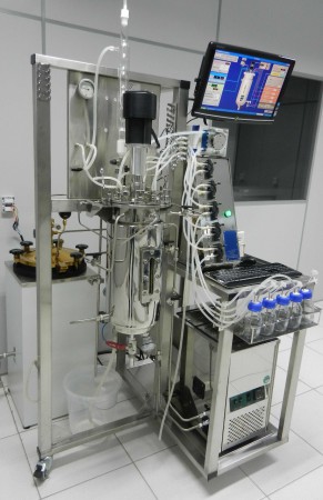 REATORES E FERMENTADORES